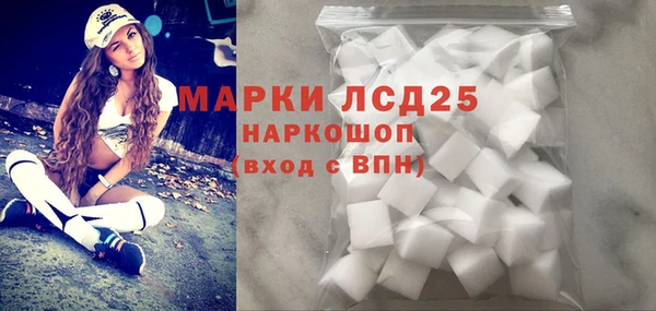 СК Аркадак