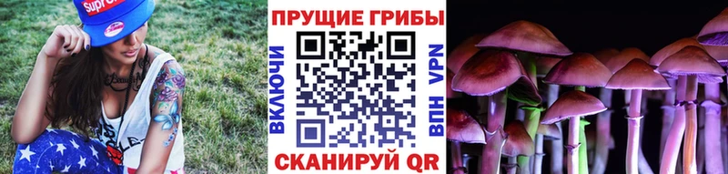 Галлюциногенные грибы Psilocybine cubensis  купить наркотики цена  OMG ONION  Снежногорск 